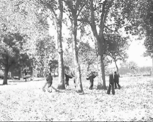 round-trees. video still.boz phillips